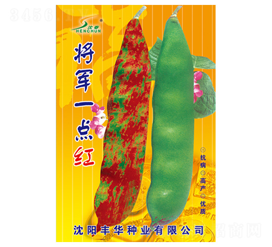 將軍一點紅-架豆種子-豐華種業(yè)