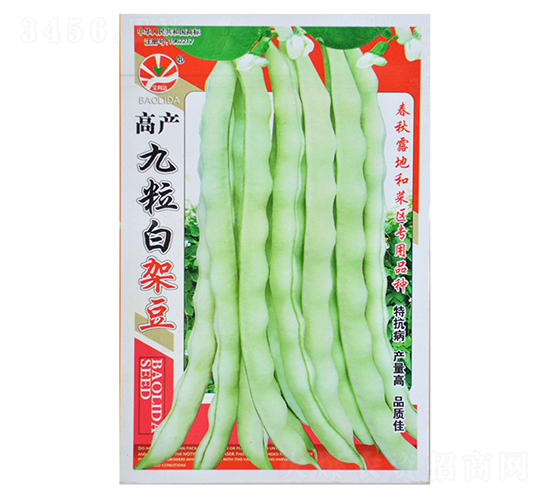 高產(chǎn)九粒白架豆-蕓豆種子