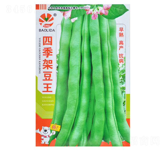 四季架豆王-蕓豆種子