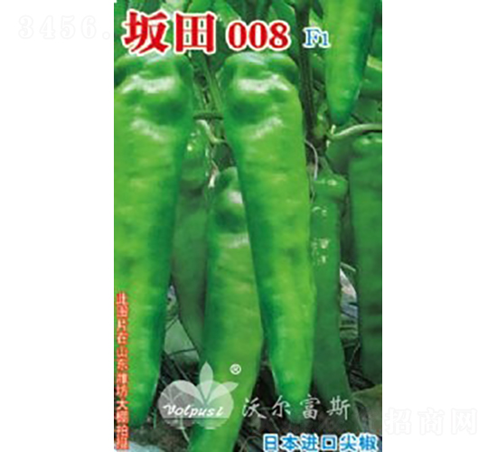 坂田008F1（高產(chǎn)羊角辣椒品種）-辣椒種子-沃爾富斯