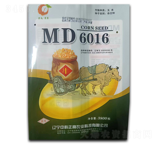 MD6016-玉米種子-中科正高