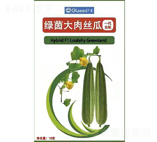 綠茵大肉絲瓜-絲瓜種子-廣良