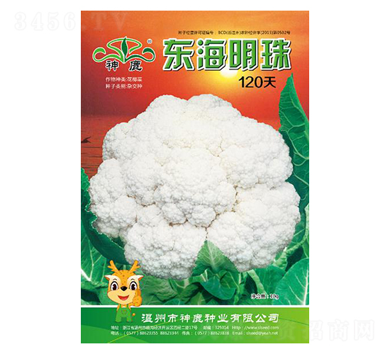 東海明珠120天-花椰菜種子-神鹿種業(yè)