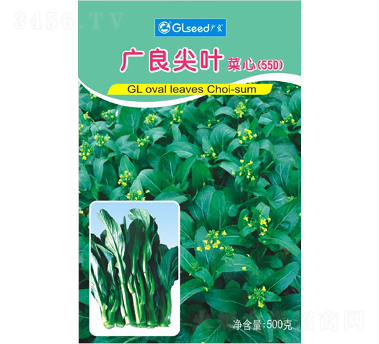 廣良55D菜心-菜心種子-廣良