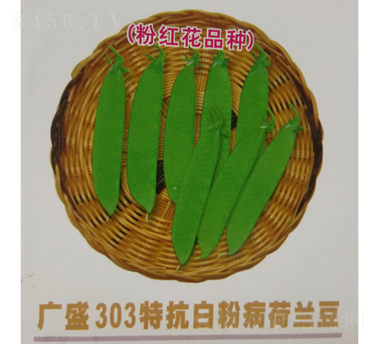 廣盛303荷蘭豆-豌豆種子-廣良