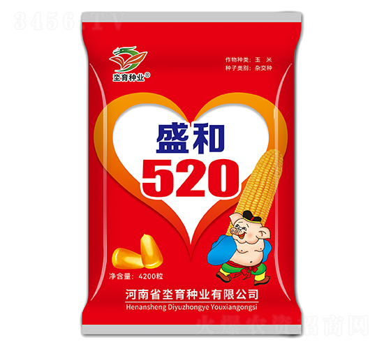 盛和520-玉米種子-坔育種業(yè)