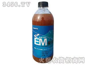 EM菌沖施肥-碩果盈枝