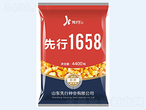 先行1658-玉米種子-金專環(huán)球農(nóng)業(yè)