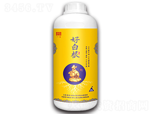 好白根（1000ml）-一璽