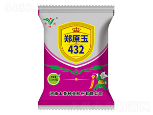 鄭原玉432-玉米種子-金苑種業(yè)