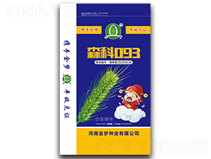 森科093-小麥種子-金夢種業(yè)