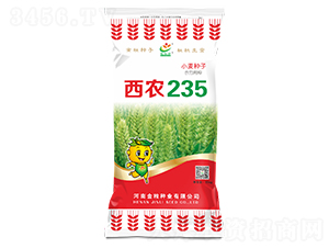 西農(nóng)235-小麥種子-金粒種業(yè)