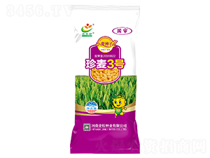 珍麥3號(hào)-小麥種子-金粒種業(yè)