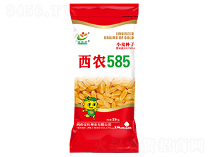 西農(nóng)585（15kg）-小麥種子-金粒種業(yè)