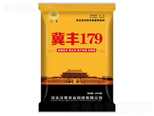 冀豐179-玉米種子-沃育農(nóng)業(yè)