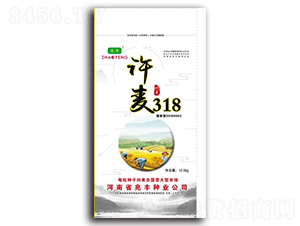 12.5kg許麥318-小麥種子-兆豐