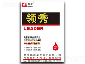 領(lǐng)秀微量元素水溶肥料-邦威化工