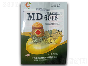 MD6016-玉米種子-中科正高