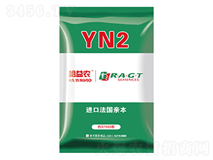 YN2-玉米種子-益農(nóng)種業(yè)