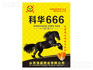 科華666-玉米種子-強(qiáng)盛種業(yè)